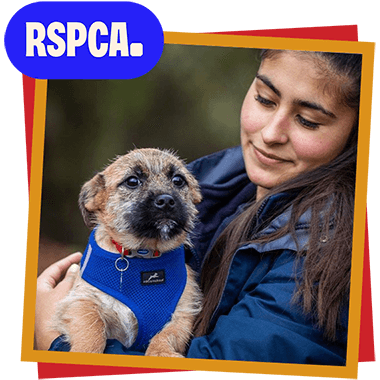 RSPCA featuring girl caring for a dog